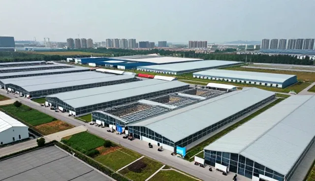 网站建设团队如何通过日常维护提升整体效率